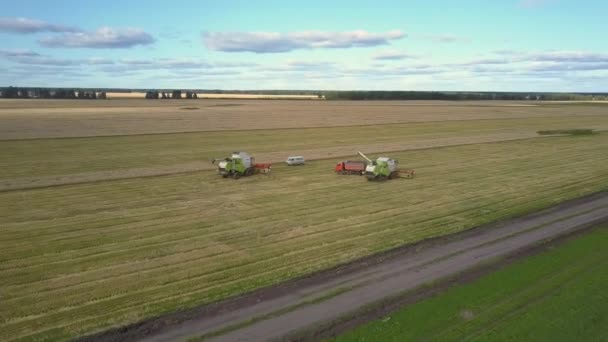 Bird eye flight green white combines stand by car truck — Stock Video