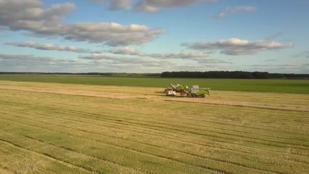 Luchtfoto auto rijdt weg van groene oogstmachines op het veld — Stockvideo