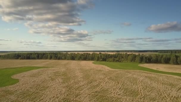 Luftaufnahme grüner Wald zwischen endlosen Feldern im Herbst — Stockvideo