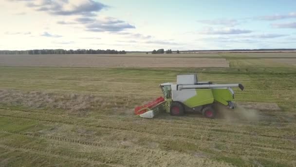 Luchtfoto moderne Harvester verzamelt laatste streep van tarwe — Stockvideo