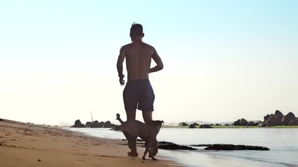 Mann läuft mit fröhlichen Hunden in Zeitlupe am Sandstrand entlang — Stockvideo