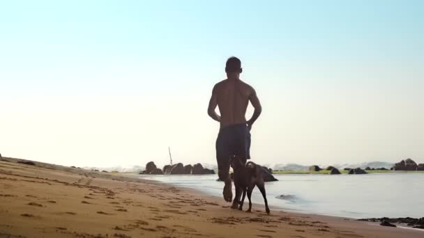 Muscular sportsman runs along wet yellow sand with funny dog — Stock Video