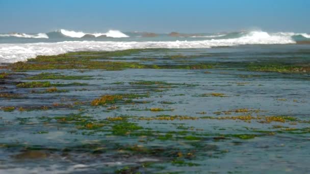 Enormes olas oceánicas surgen espumosas bajo un cielo azul claro — Vídeos de Stock