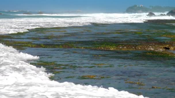 Fale oceanu z białą pianką roll na zielone i brązowe skały — Wideo stockowe