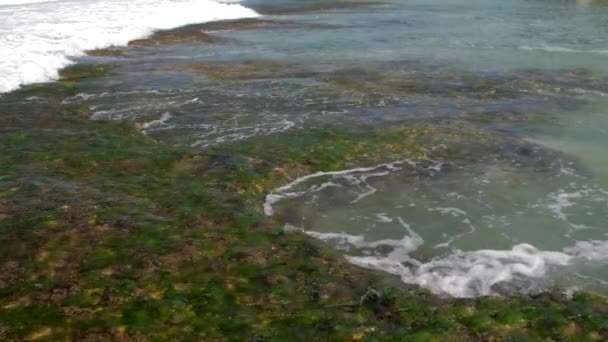 Сильные океанские волны смывают коричневые коралловые рифы зелеными водорослями — стоковое видео