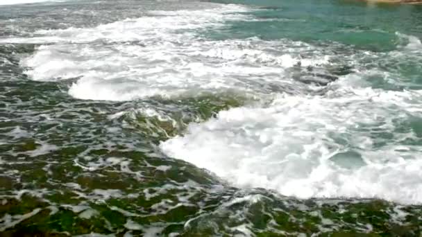 Tremendas olas interminables del océano fluyen sobre algas verdes — Vídeo de stock