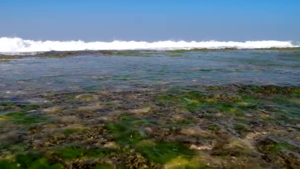 Énormes vagues océaniques moussantes sous le ciel bleu au ralenti — Video