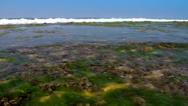 Vagues océaniques rugueuses roulent sur le littoral avec mousse blanche lente — Video