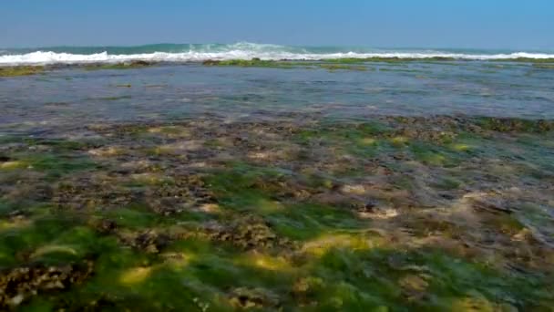 Enormes olas oceánicas espumosas rodan en la costa con arrecifes de coral — Vídeo de stock