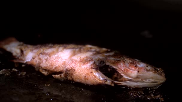 Pescado de mar marinado con patatas fritas de corteza dorada en sartén con aceite — Vídeo de stock
