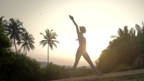 Bayan egzotik park yavaş hareket parivrtta trikonasana gösterir — Stok video