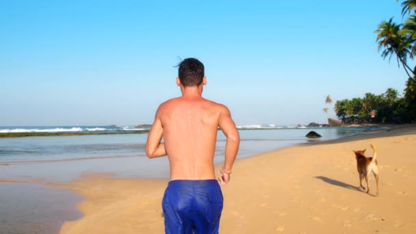М'язистий спортсмен у блакитних шортах проходить вздовж піщаної берегової лінії — стокове відео