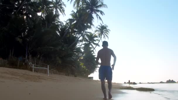 Kaslı jimnastikçi sonsuz okyanus yakınında ıslak kum üzerinde çalışır — Stok video