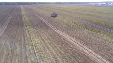 modern patates uçuş alanında yükleme kamyon birleştirmek