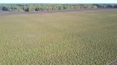 orman tarafından birleştirmek için kesilmemiş patates alanı üzerinde kuş gözü uçuş