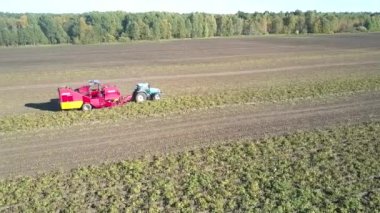 modern büyük etrafında uçuş alanında hasat patates birleştirmek