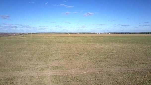 Vue aérienne paysage rural avec des champs sous le ciel bleu — Video