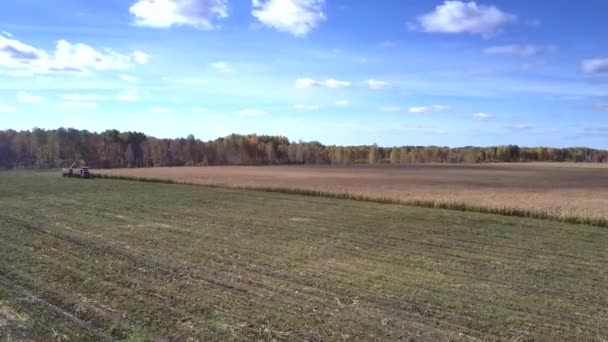 Vue supérieure moissonneuse verse le feuillage de maïs dans la remorque — Video