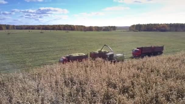 Camion segue rimorchio precedente in attesa di versare fogliame — Video Stock