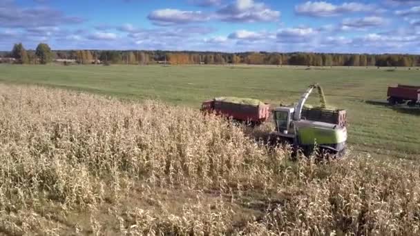 Campo di mais illimitato con macchine agricole funzionanti — Video Stock