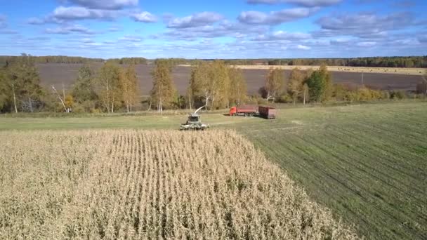 Воздушный кукурузный комбайн и грузовик вернуться к работе на поле — стоковое видео