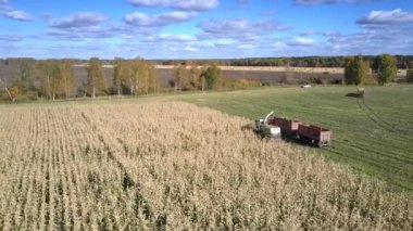 üst görünüm forager silorator ve kamyon mısır toplamak