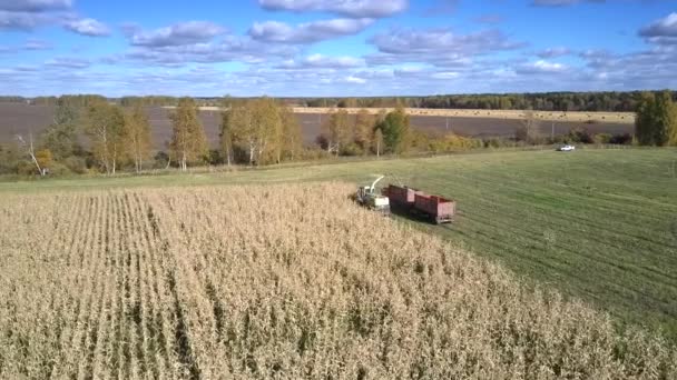Повітряний вигляд кукурудзяний комбайн і вантажівка ведуть до кінця поля — стокове відео