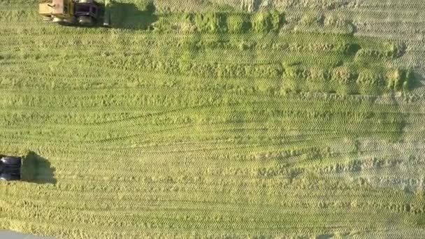 垂直视图专用推土机在坑中用玉米青贮 — 图库视频影像