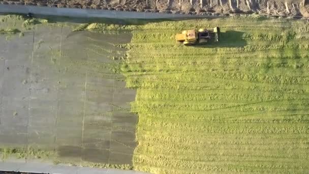 Bulldozer laisse ensilage tas entraînements sur fond de béton — Video