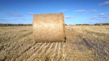 yakın görünümü büyük saman rulo geniş alanda güneş ışığında parlar