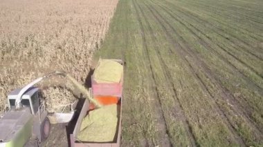 yakın üst görünüm hasat römork içine mısır kütlesi döker
