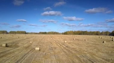 ormana karşı tarlaya dağılmış saman balyaları üzerinde uçuş