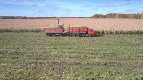 Upper side view modern harvester with truck gather corn mass — Stock Video