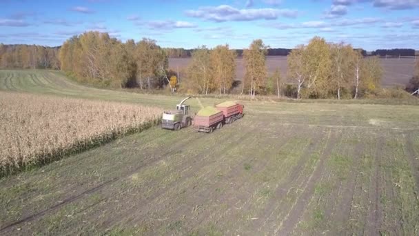 Sklizač dokončuje sběr kukuřičné hmoty a odjede — Stock video