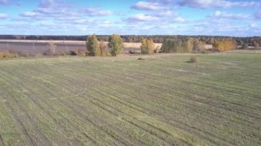 alanlar arasında zemin yolda havadan görünüm araba sürücüleri