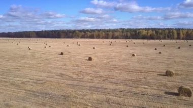 havadan görünümü kız büyük saman rulo ile sahada yürüyor