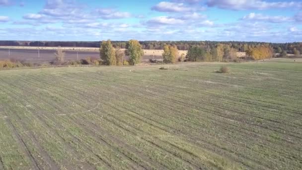 Vista aérea carro dirige na estrada terrestre entre os campos — Vídeo de Stock