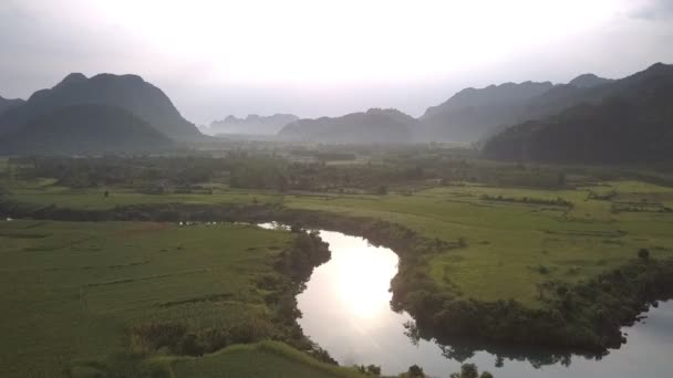 Inspirerende kalme blauwe rivier tussen groene pinda velden — Stockvideo