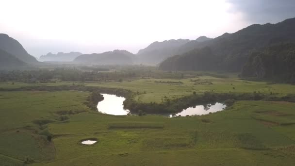 Maravilloso río sereno y tranquilo entre los campos de cacahuetes aérea — Vídeos de Stock
