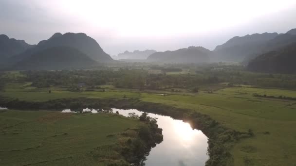 Obrovská klidná řeka se zelenými siluety stromů — Stock video