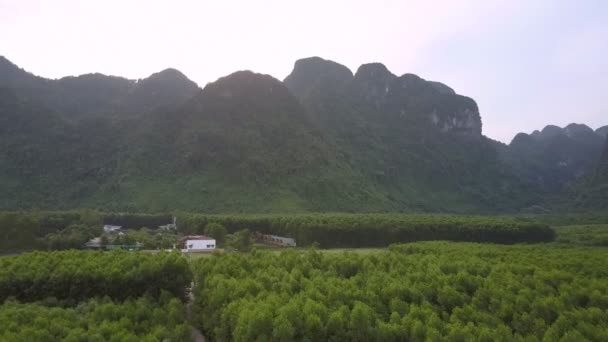 Movimiento aéreo sobre áreas de bosque verde y diminuta aldea — Vídeo de stock