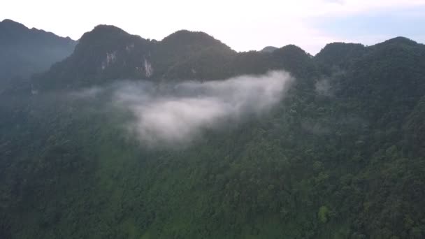 Niebla espesa atrapada en la alta pendiente de la montaña forestal vista aérea — Vídeo de stock