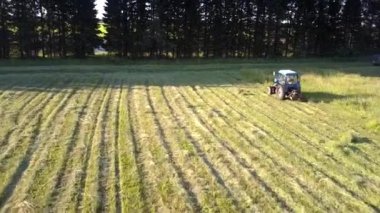 çim biçme makinesi ile traktör ağaçlar gölgesinde saman çim keser