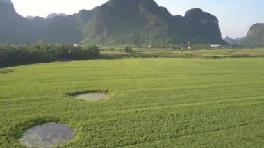 ormana karşı yeşil alanla kaplı sınırsız vadi