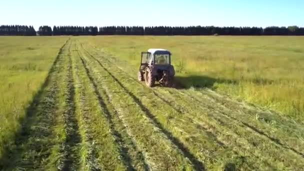 Flycam se pohybuje poblíž traktoru se zemědělcem v kabině na sekání trávy — Stock video