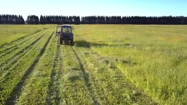 Flycam follows tractor sowing grass shining in sun rays — стоковое видео