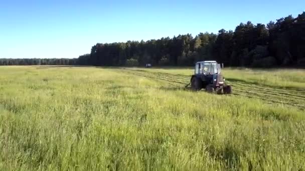 Rolnik napędza trawę koszenia traktora do siana w polu — Wideo stockowe