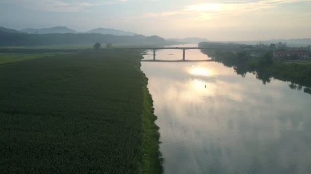 Niesamowita Panorama pól i rzeka w letni wieczór — Wideo stockowe