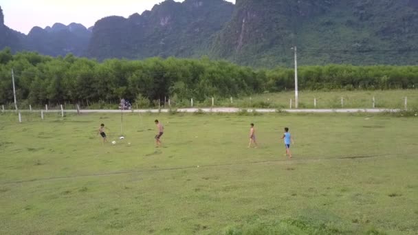 Barn tillbringar tid med att spela fotboll på Green Grass Field — Stockvideo