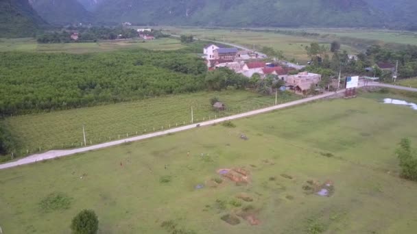 Movimiento aéreo por encima de las personas que corren en el campo plano verde — Vídeos de Stock